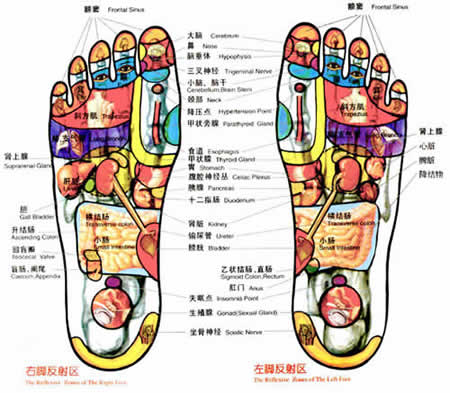 足部按摩保健与治疗：阳痿