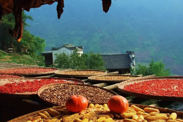 秋天的中国既绚烂无比又是惊心动魄的美丽