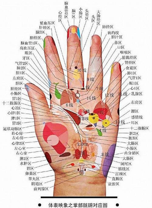 手指中藏着的养生密码