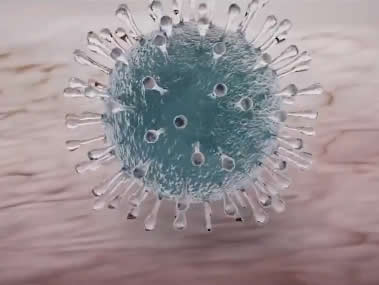 数亿年的战争：病毒与免疫系统