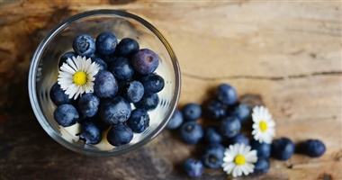 多吃蓝莓有助于老年人心脑健康