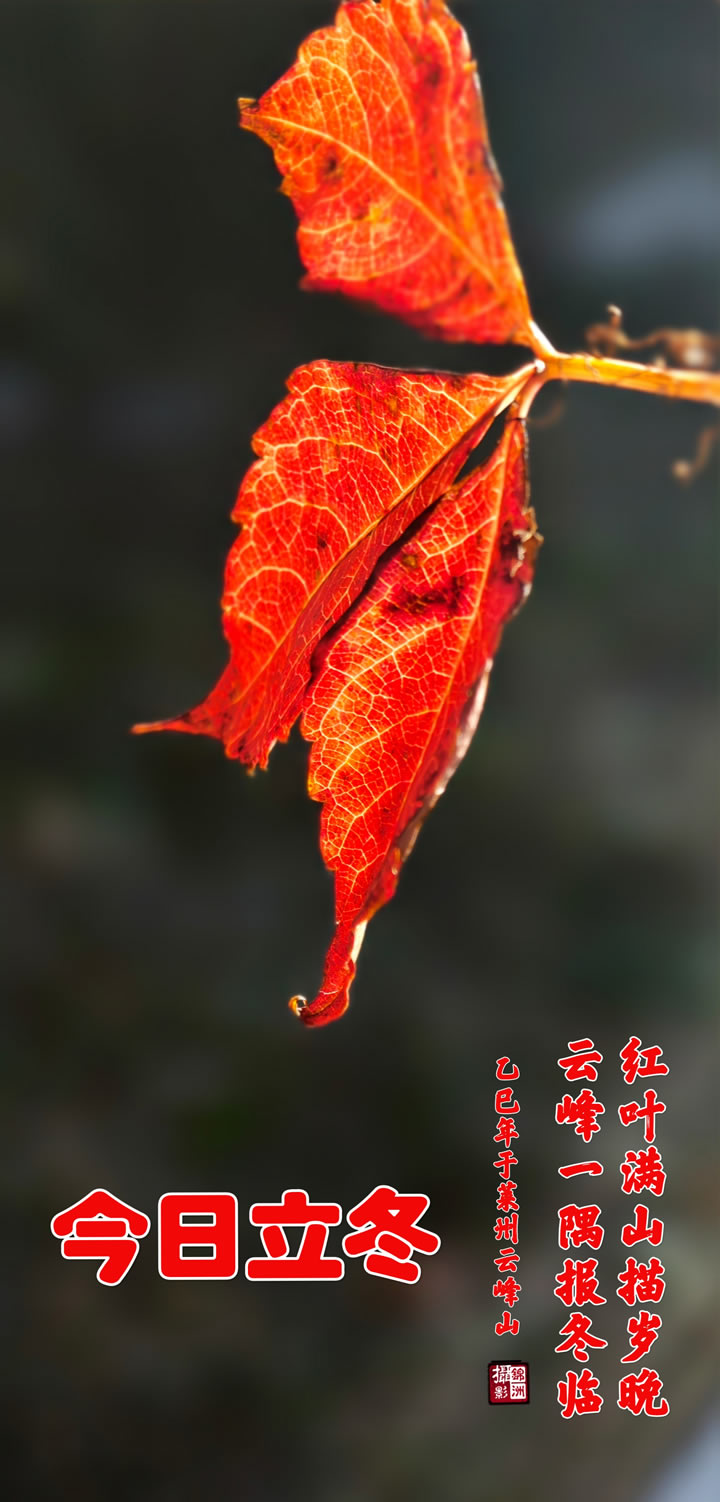 璀璨的莱州民俗文化——立冬 璀璨的莱州民俗文化——立冬