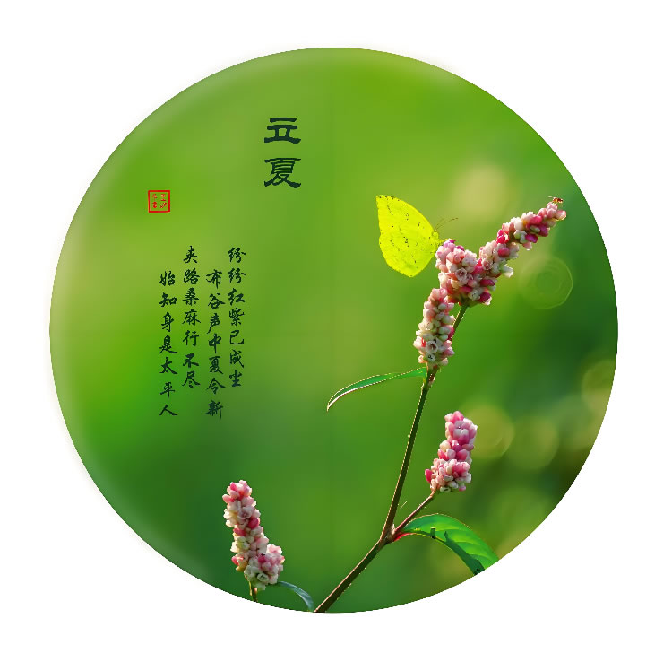 二十四节气之立夏 第 1 张