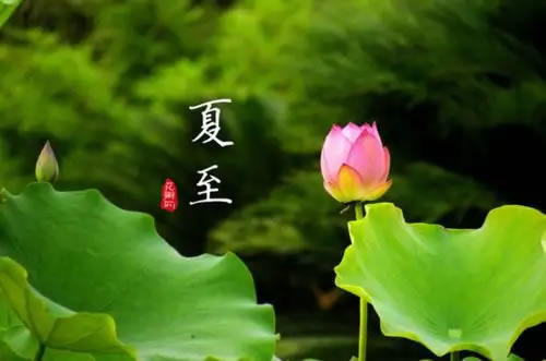 璀璨的莱州民俗文化——夏至