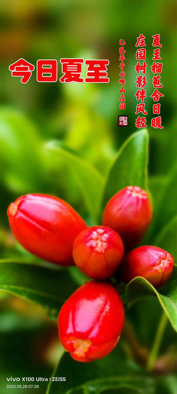 璀璨的莱州民俗文化——夏至